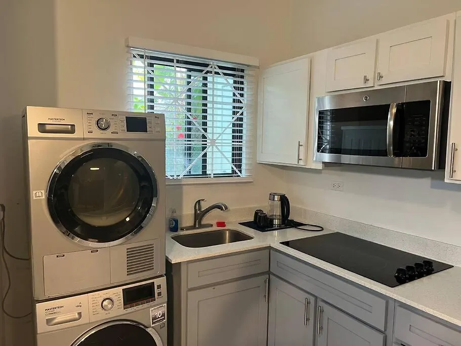 Luxury 1 Bedroom & Rooftop Pool Unit #2 Falmouth Jamaica